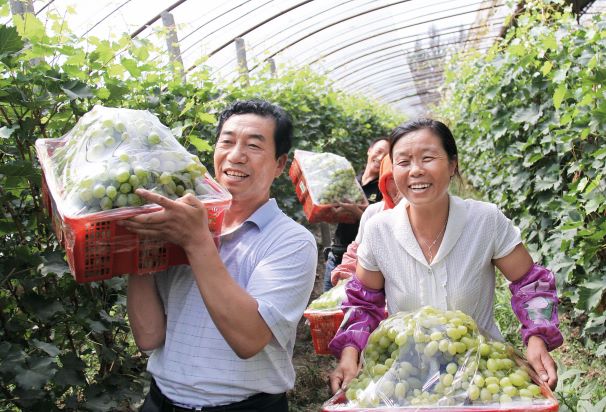 小镇大爱——来自永宁县闽宁镇的讲述