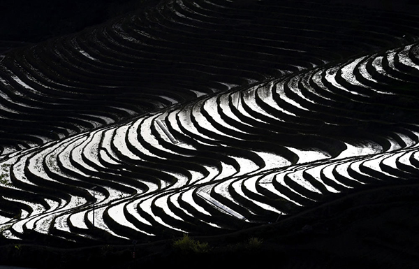 20220329164856329693.jpg GsnfshC007022_20220329_CBMFN0A005.jpg