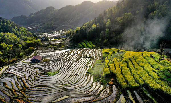 20220329164856329911.jpg GsnfshC007022_20220329_CBMFN0A003.jpg