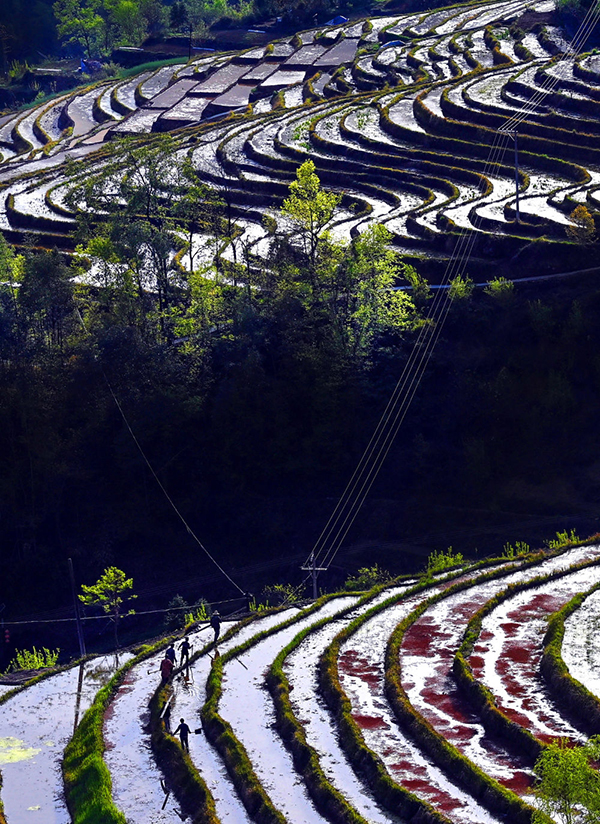 20220329164856330542.jpg GsnfshC007022_20220329_CBMFN0A007.jpg