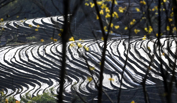 20220329164856330839.jpg GsnfshC007022_20220329_CBMFN0A004.jpg