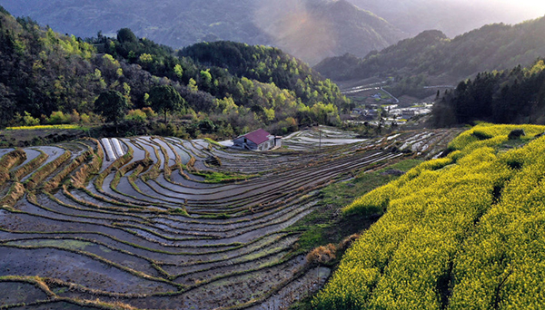 20220329164856331374.jpg GsnfshC007022_20220329_CBMFN0A002.jpg