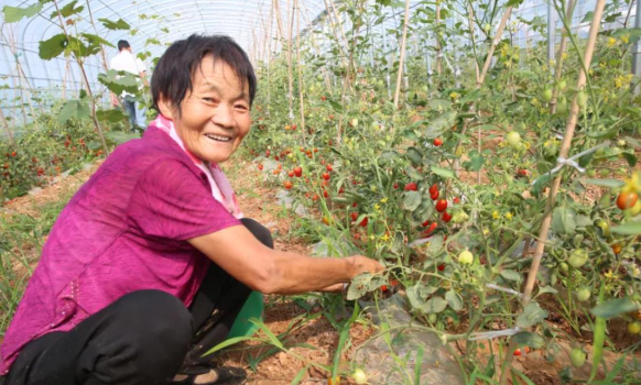 20220526165353983260.png 截图20220526123544.png