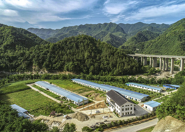 20220920166367545993.jpg 10 2020年7月8日,俯瞰陕西秦脉农业公司“黑咯咯乌鸡”养殖扩繁基地。 .jpg