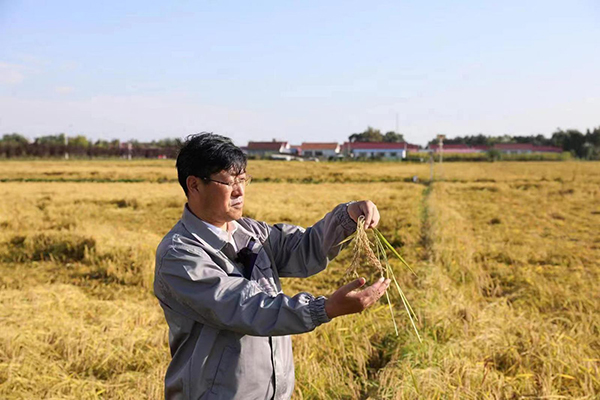 20230313167870191963.jpg 784102_37c1c70f-49f0-4fde-94d2-ad683e2d9f9e.jpg