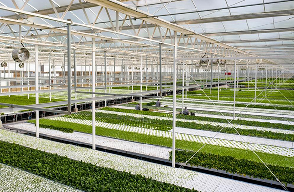 20230313167870202583.jpg 784102_185b7739-62d8-4daa-b08f-2f15b251f8a8_zsize.jpg