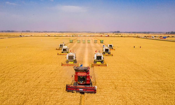 20230313167870203774.jpg 784102_5683c400-2909-42ce-a2f4-ba4037454994_zsize.jpg