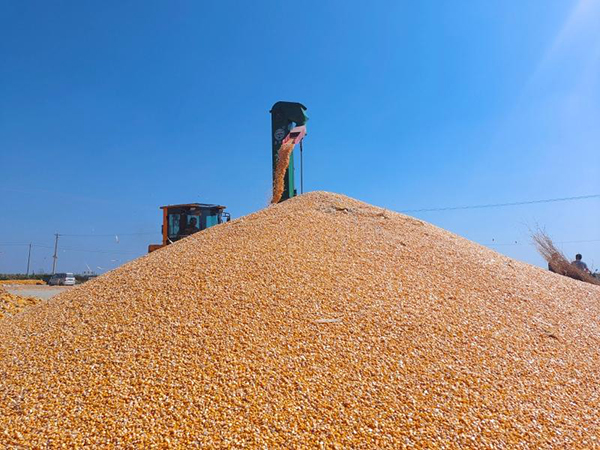 20230313167870205070.jpg 784102_34420aef-9912-4d2f-bf0f-1daba0c92345_zsize.jpg