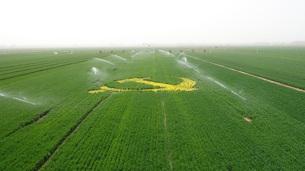 20230313167870205911.jpg 784102_717de759-b51c-4621-a215-43634c7076b8_zsize.JPG