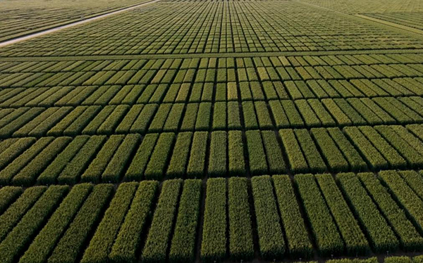 20230313167870208099.png 784102_dbf27119-8db7-4633-8905-fe3e925882da_zsize.png