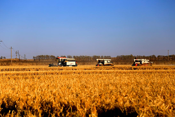 20230313167870212261.jpg 784102_a33a4380-d265-4277-8331-6fd1d0ece469_zsize.jpg