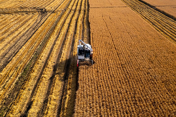 20230313167870214914.jpg 784102_063a8582-e5bb-4ec9-9698-f70dab1850a5.jpg