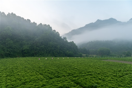 20230426168249591298.png 微信截图_20230426155644.png