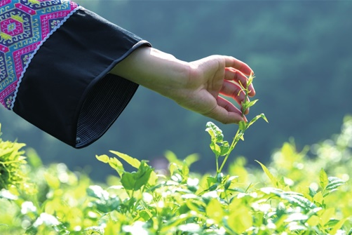 20230426168249593812.png 微信截图_20230426155539.png