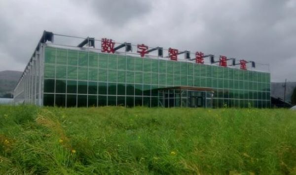 津甘协作共建现代农业示范园助农增收
