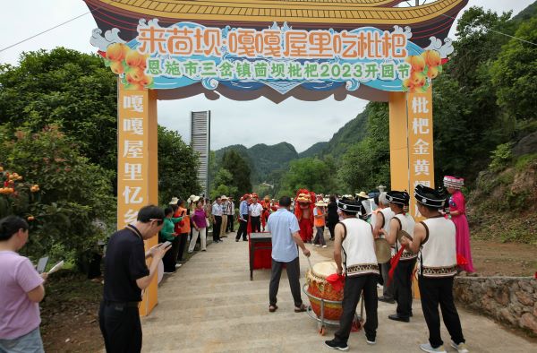 湖北恩施：一声“嘎嘎”给枇杷找到了“婆家”