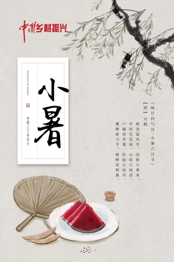 今日小暑