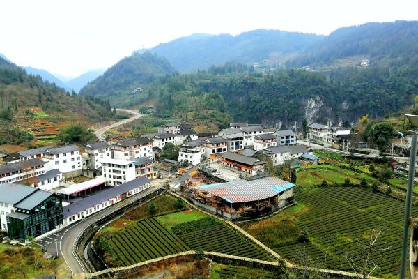 湖北宣恩：珠山镇田畴沃野绘新景