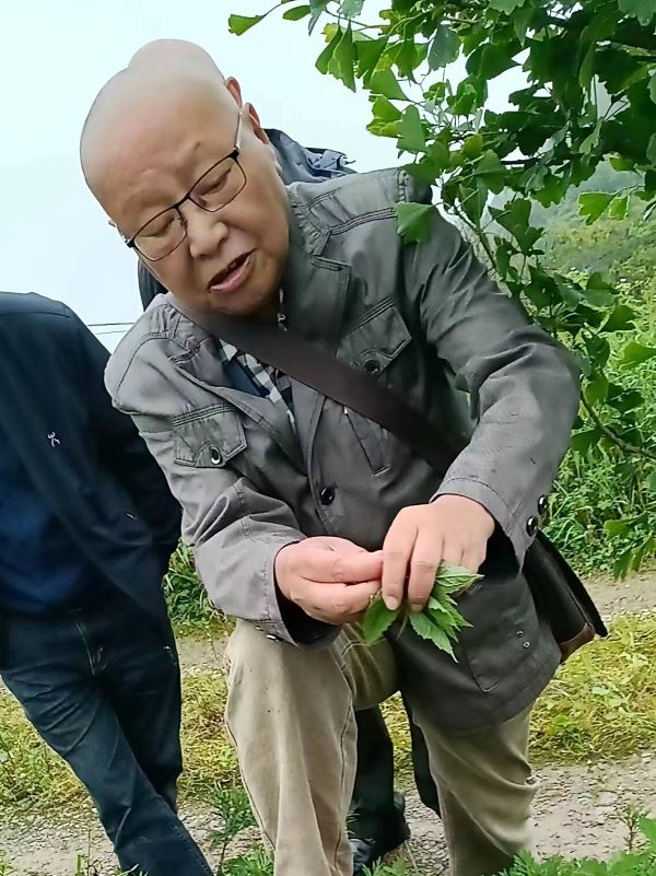 张代寿：老骥伏枥  志在中药材产业助力乡村振兴