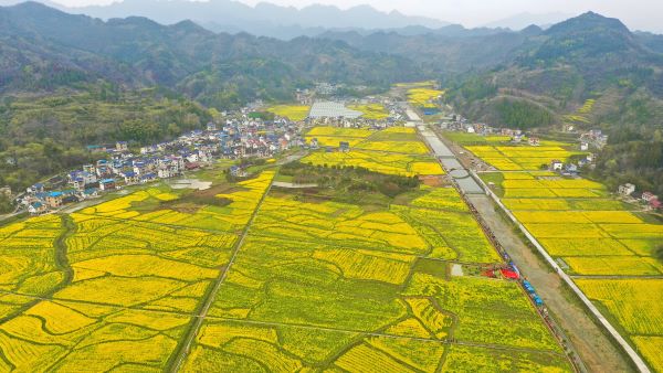 湖南保靖：甘溪村“一核五共”走出乡村振兴新路
