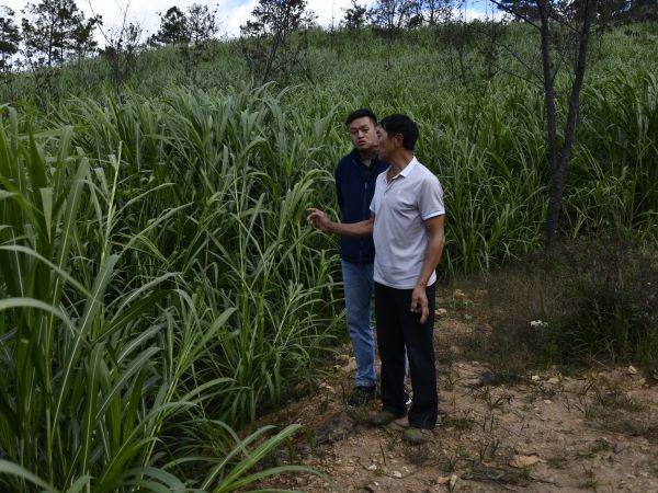 李小红：家园建设好了 才能留住人