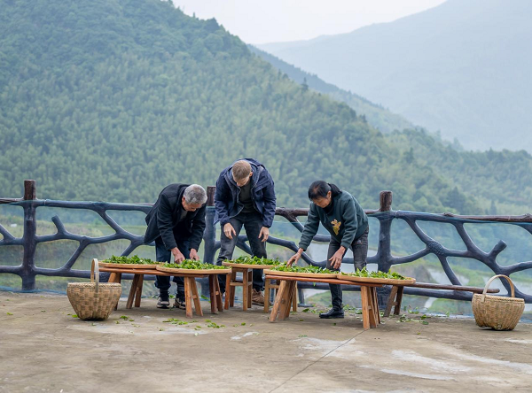 湖南东安：“乡土人才”激活乡村振兴“一池春水”