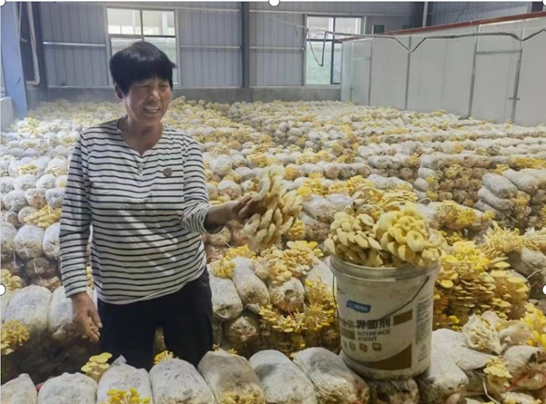 微信截图_20240508170803.png