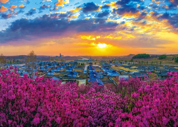 微信截图_20240523091100.png