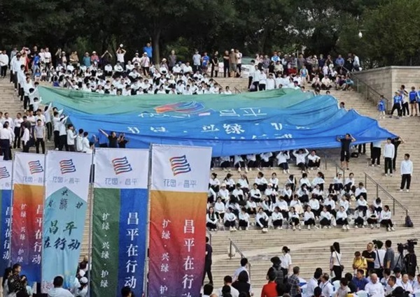 微信截图_20240611112654.png