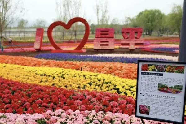 微信截图_20240611112902.png