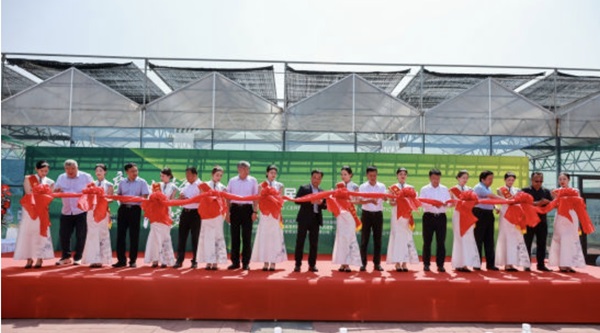 微信截图_20240613150516.png