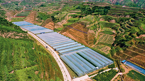 郝家桥村果蔬大棚基地。.jpg