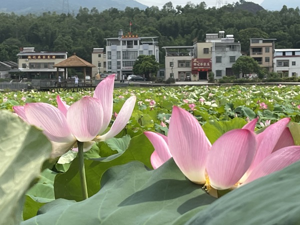 微信截图_20240919103528.png