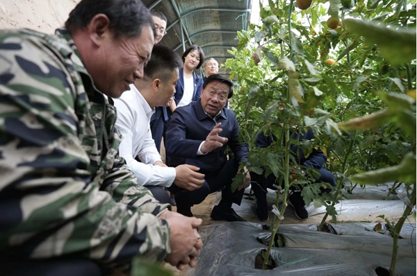 微信截图_20240929092555.png