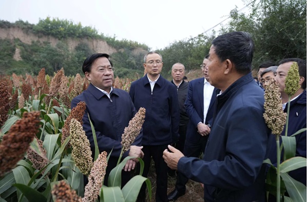微信截图_20240929092627.png