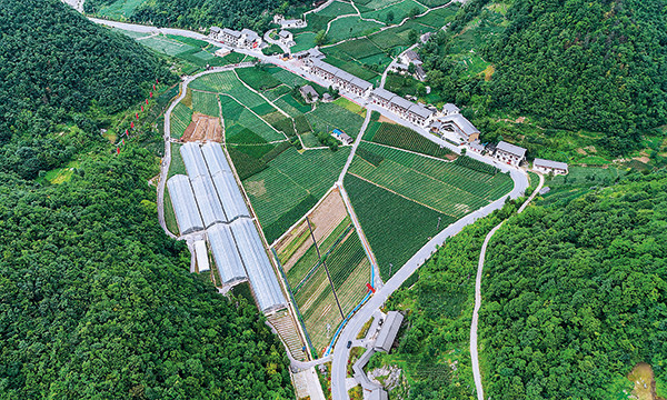 巫山县竹贤乡石院村蔬菜采摘园。 (2).jpg