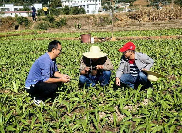 微信截图_20241108091723.png