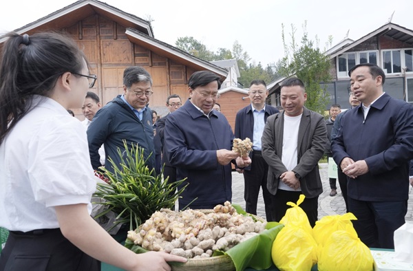 微信截图_20241115163939.png