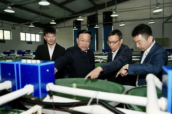 微信截图_20241202092134.png