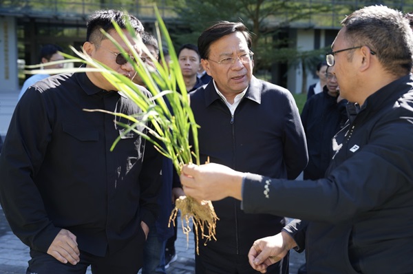 微信截图_20241202092204.png