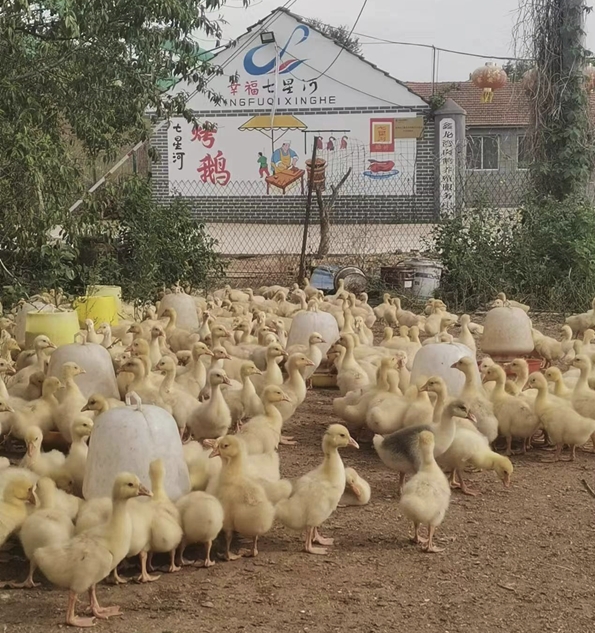 微信截图_20241205162456.png