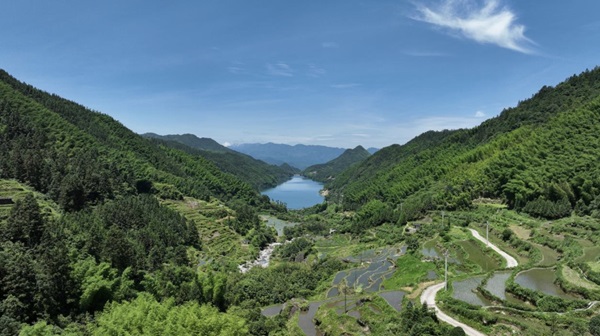 微信截图_20241231203707.png