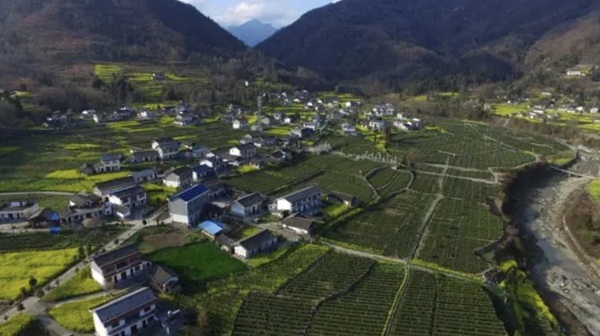 微信截图_20250321222338.png