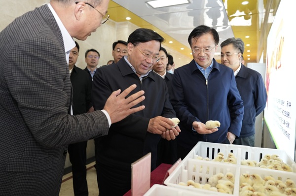 韩俊：加快推进高水平农业科技自立自强因地制宜建宜居宜业和美乡村