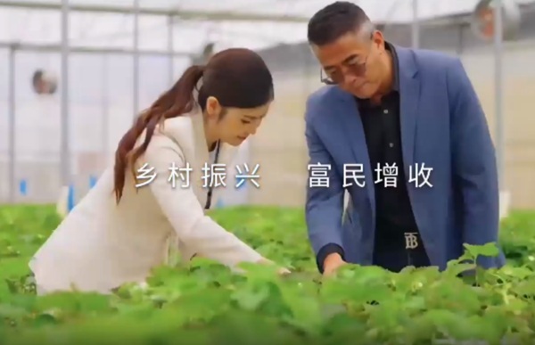 微信截图_20250401152738.png