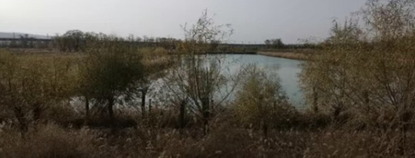 微信截图_20250416085642.png