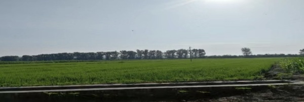 微信截图_20250416085655.png