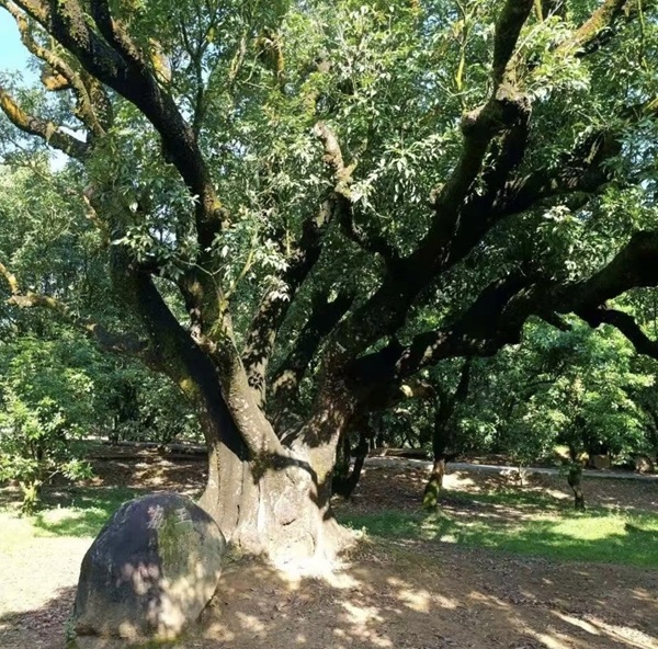 微信截图_20250420001238.png