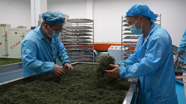 20250428174583321071.png 图片7.png