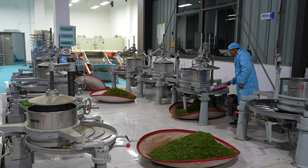 20250428174583322513.png 图片8.png